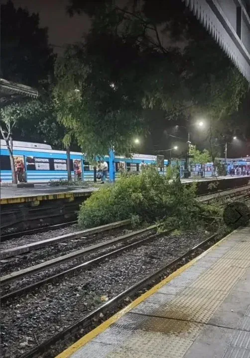 AMBA'da fırtına: Kullanıcılar elektriksiz kaldı, çatılar uçtu, ağaçlar devrildi